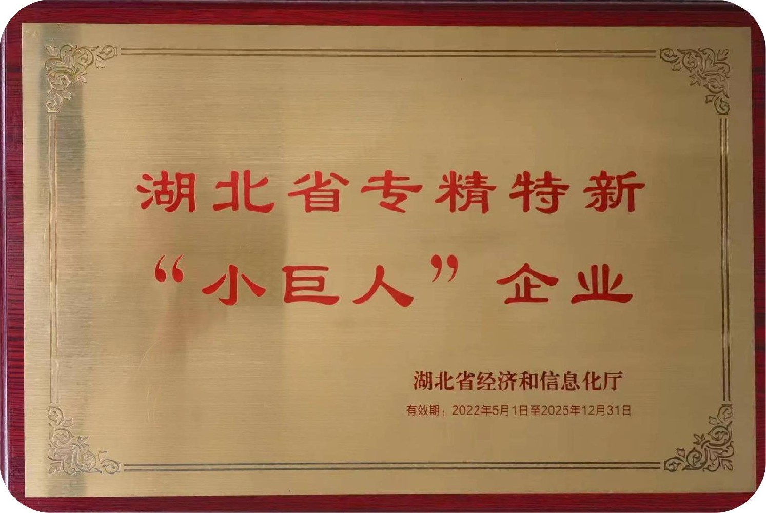 公司資質(zhì)